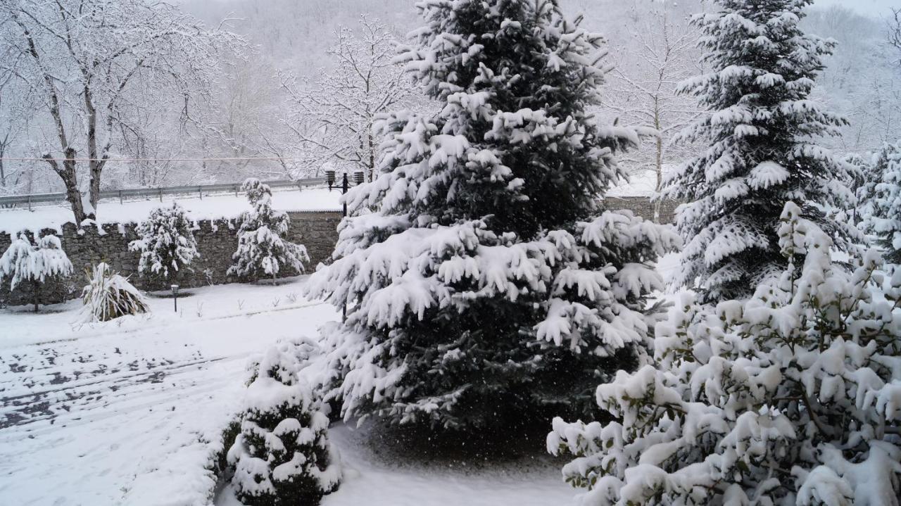 Gabala Yeddi Gozel Hotel Exterior foto